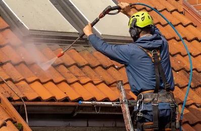 Démoussage et hydrofuge de toiture à Plesnois